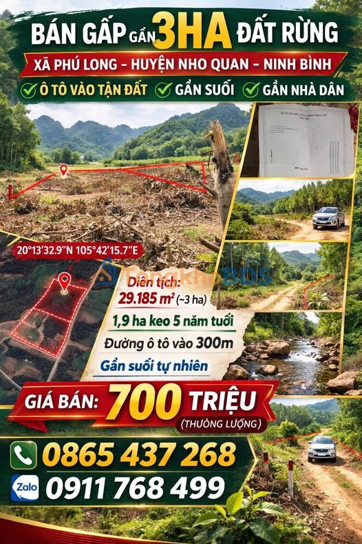 Bán Gấp 3ha Đất Rừng Xã Kỳ Phú, Nho Quan - Giá Đầu Tư 700 Triệu