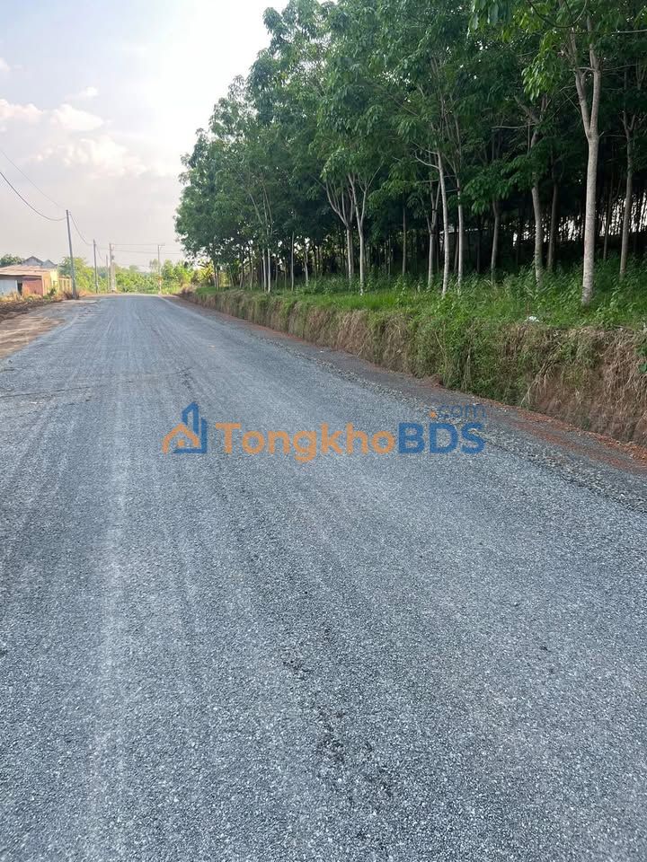 Đất Vườn Đồng Nai 6500m² - Sổ Hồng Sẵn Sàng