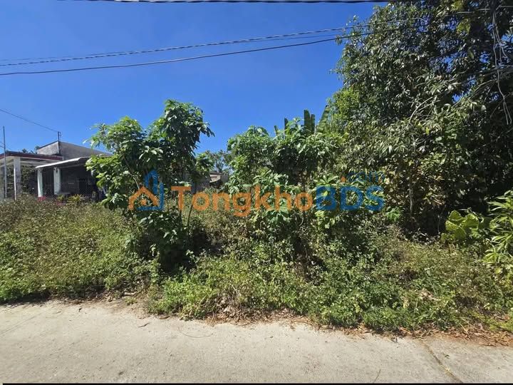 Đất Mặt Tiền Tân Phú 1851.3m² - Sổ Hồng Riêng, Giá Tốt Đầu Tư