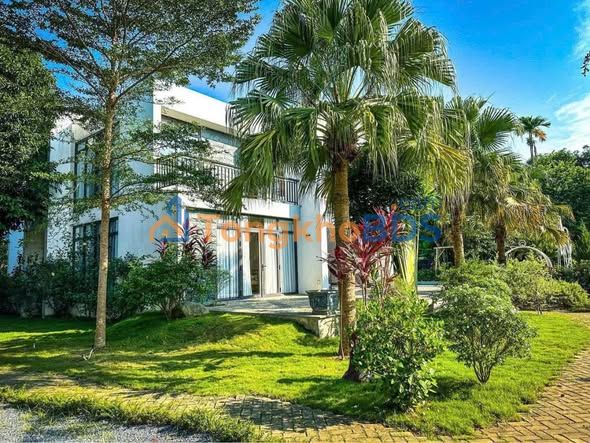Townhouse Van Hoa Ba Vi 7000m² 5 tỷ - Nghỉ dưỡng lý tưởng