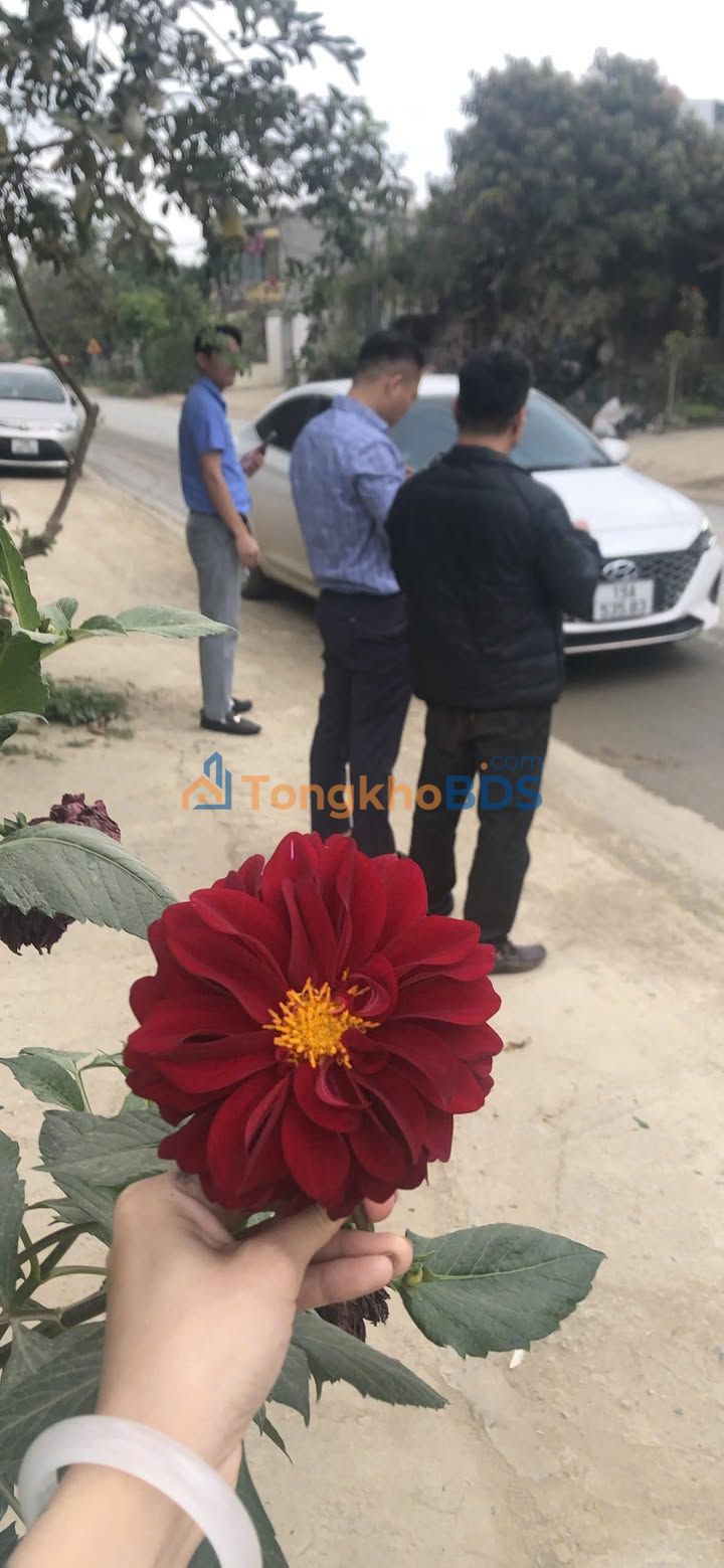 Đất Nền Phú Thọ 80m² - Sổ Đỏ Thổ Cư, Gần KCN, Giá 2.4 Tỷ