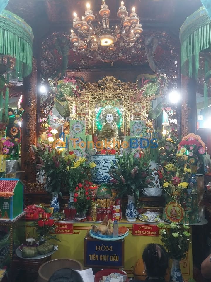 Đất Nền F0 Phù Ninh 102m² - Sổ Đỏ Sẵn Sàng, Giá Đầu Tư 7x-9x Tỷ