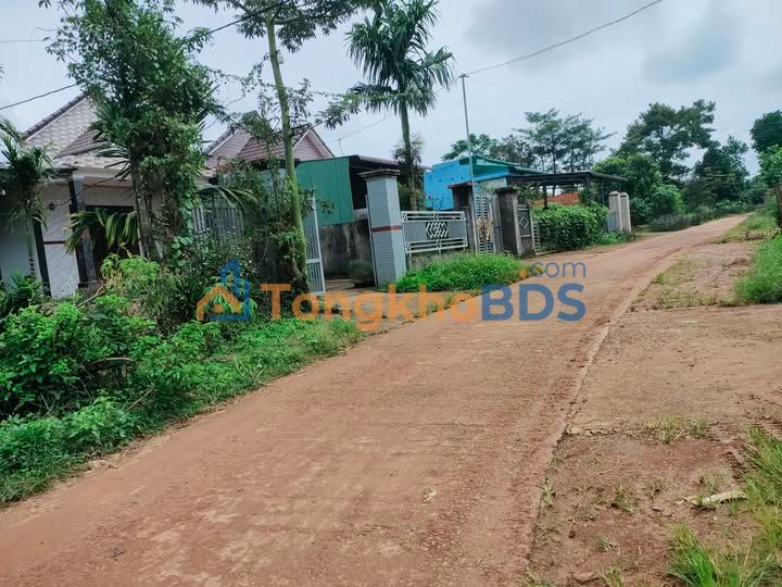 Đất Vàng Nhân Cơ Đắk Nông – 500m² Mặt Tiền Kinh Doanh – Giá 920 Triệu