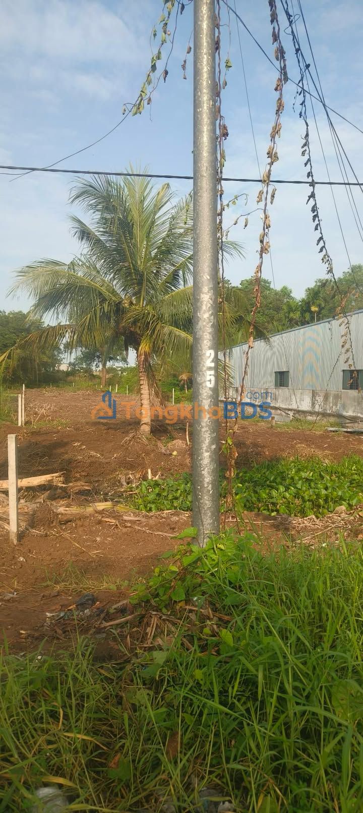 Đất Vườn Mặt Tiền Quốc Lộ 63, Kiên Giang - 15m Ngang, Giá Đầu Tư