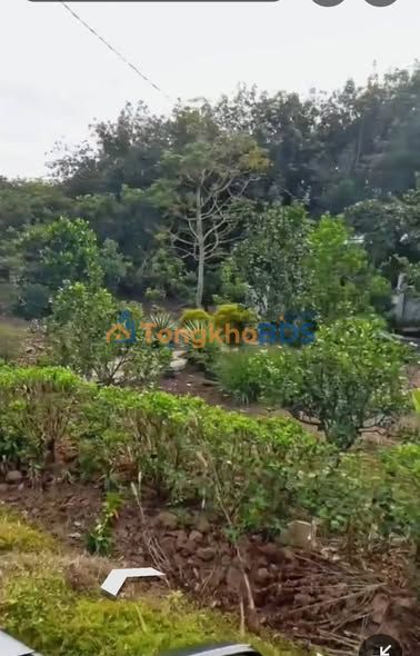 Đất nền Tân Phú Đồng Phú 250m² 400 triệu - Sổ đỏ chính chủ