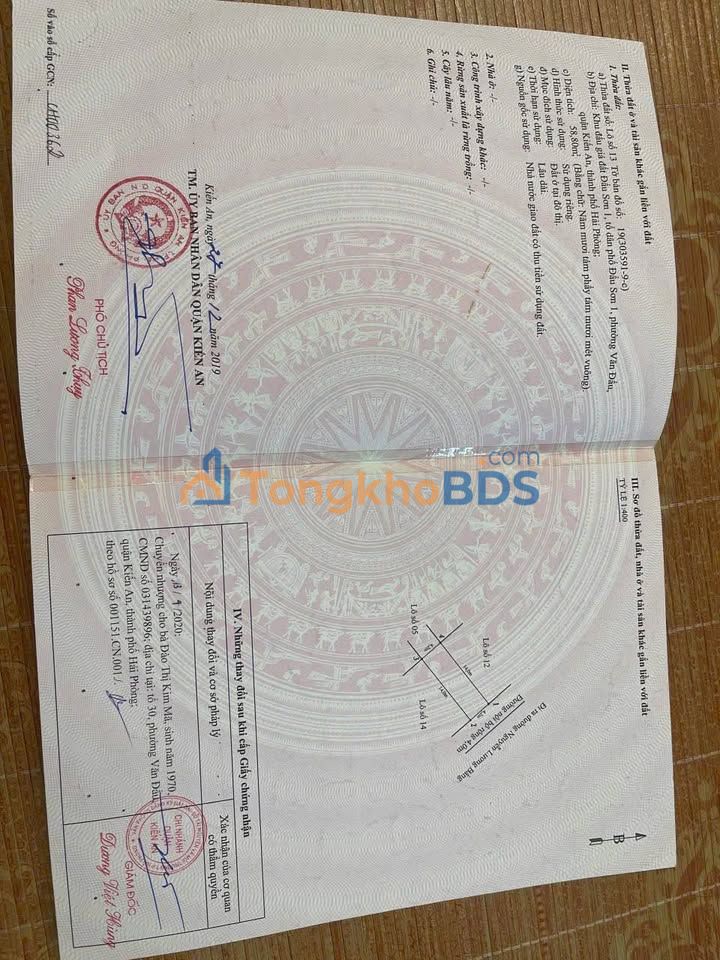 Đất Đấu Giá Đẩu Sơn 1, Kiến An - 58.8m² - Sổ Đỏ Chính Chủ