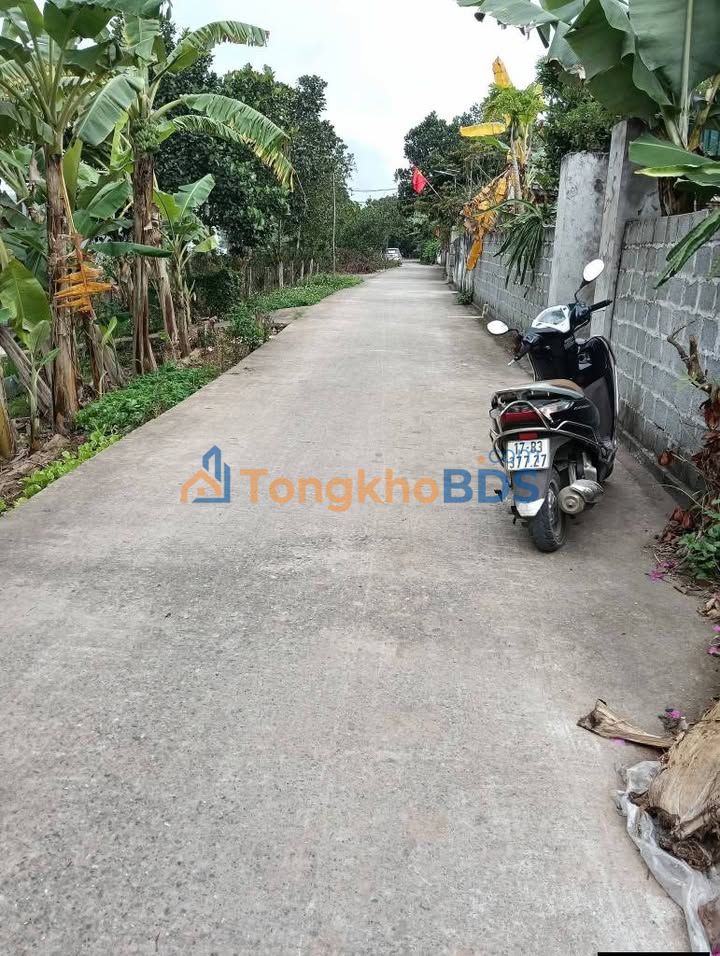 Bán Đất Nền 150m² Đông Hưng, Thái Bình - Đường Ô Tô Thông, Sổ Sẵn Sàng