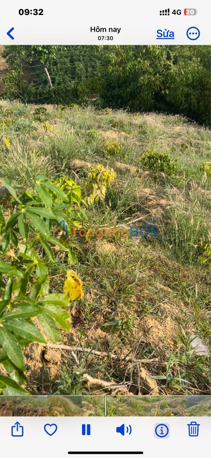 Bán Gấp Đất Cà Phê Đăk Nông 2.5ha - Giá Đầu Tư 1.3 Tỷ