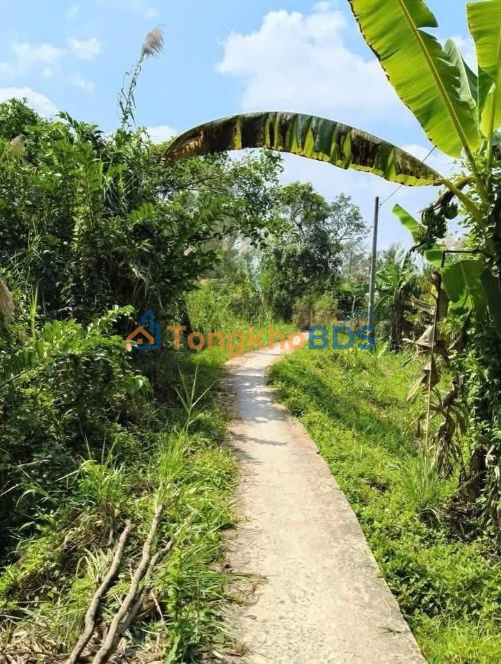 Bán Gấp Đất Vườn 9000m² Tiền Giang - Giá Chỉ 6.3 Tỷ