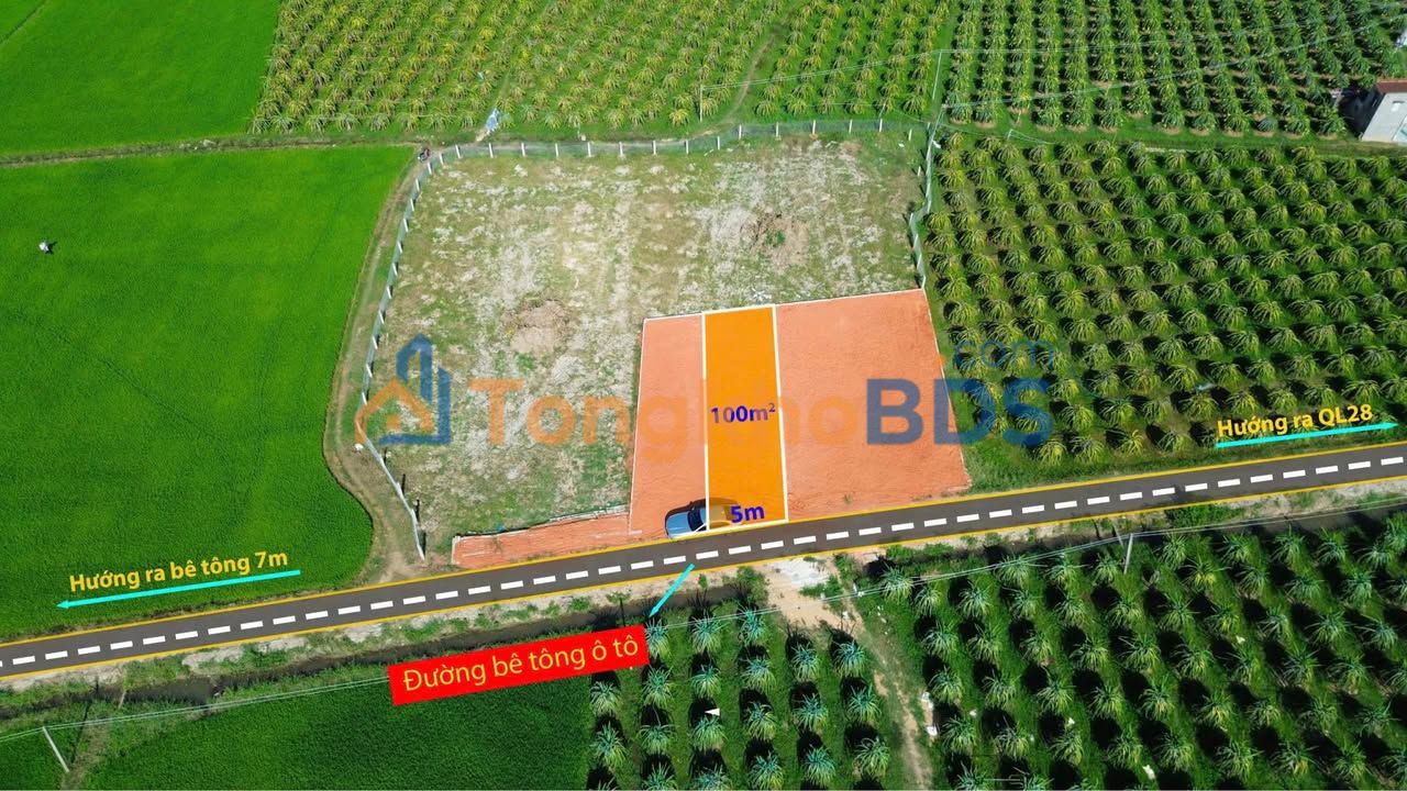 Đất Thổ Cư 100m² Thôn Bình Lâm, Hàm Liêm - Sổ Hồng Sẵn Sàng