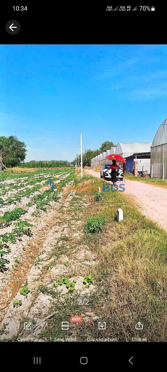 Bán Đất Thổ Cư Tân Biên, Tây Ninh - 114m² Giá 280 Triệu