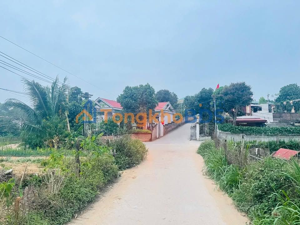 Đất nền Phú Thọ 93.5m² Sổ đỏ full thổ - Vị trí đắc địa QL32c