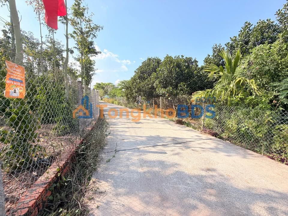 Đất Vườn Hóc Môn 275m² - Giá 589 Triệu, Ngang 18m, Sổ Hồng