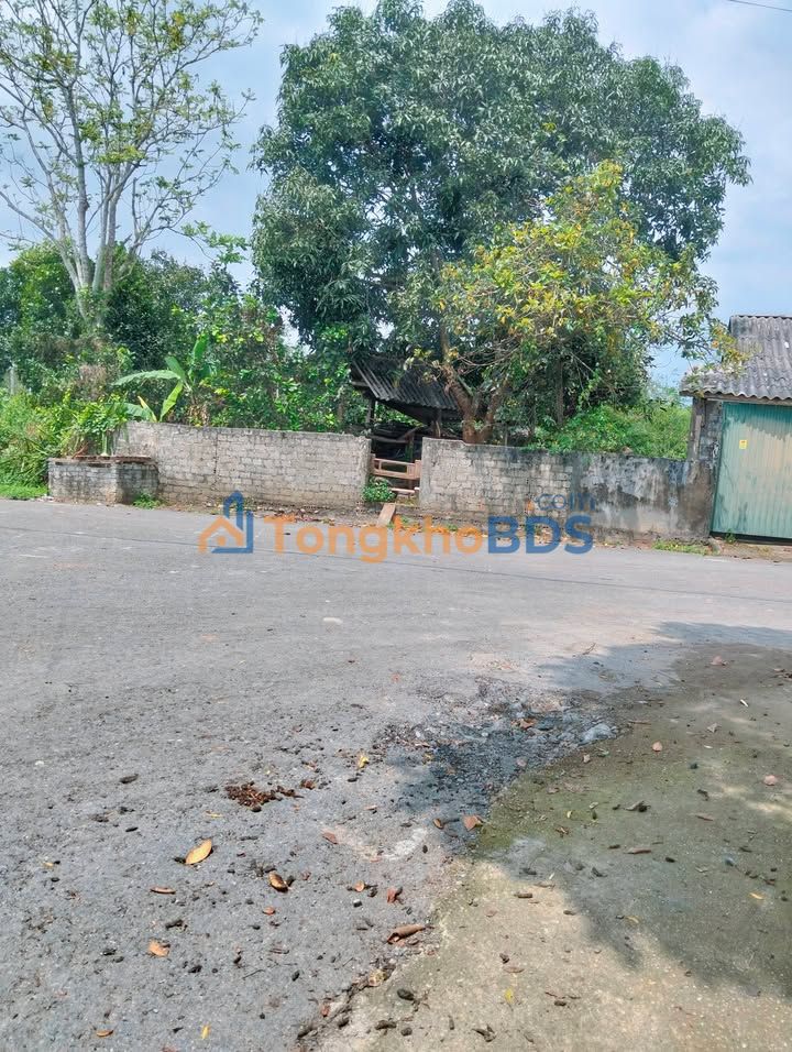 Đất nền Nghĩa Đàn 280m² - Sổ hồng chính chủ, hai mặt tiền