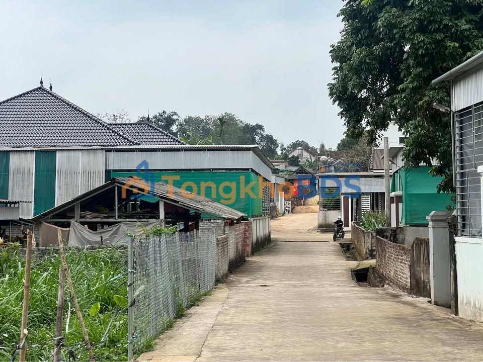 Đất nền Quang Tiến, Thái Hòa 196m² giá 1 tỷ - Thổ cư 100%, ô tô vivu