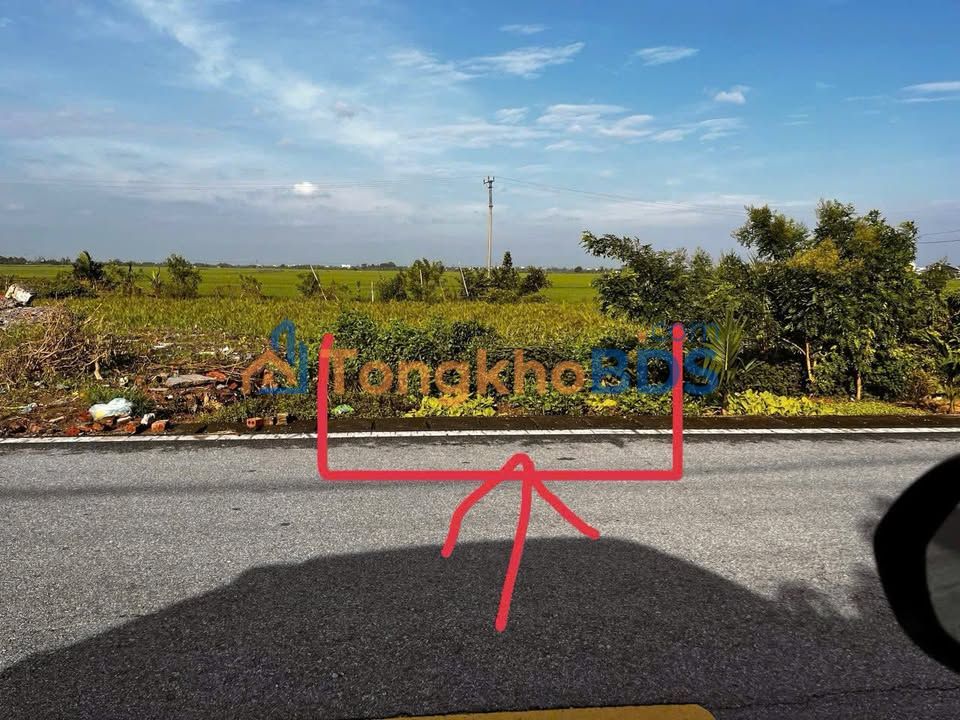 Bán Đất Thổ Cư 100m² Hướng Đông - An Mỹ, Quỳnh Phụ, Thái Bình - Giá 1.5 Tỷ