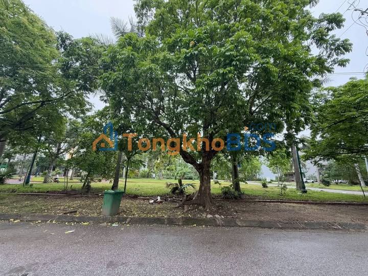 Bán đất Phúc Sơn Từ Sơn 76m² hướng Nam - View vườn hoa thoáng đãng