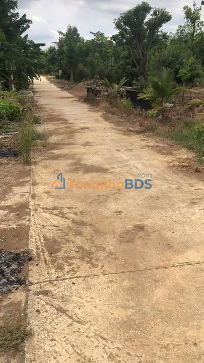 Bán Đất Vườn 4040m² Xuân Sơn, Châu Đức - Sổ Đỏ Sẵn Sàng