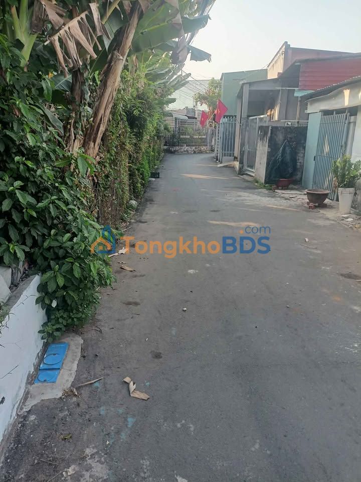 Nhà Cấp 4 Mặt Tiền Đường Số 9, Tân Hưng - 100m² Giá 900 Triệu