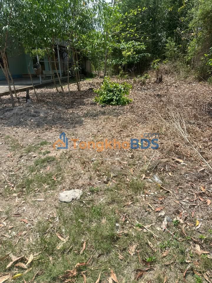 Đất Nền Phú Hòa, Định Quán 137m² Sổ Hồng Riêng - Giá Tốt Đầu Tư