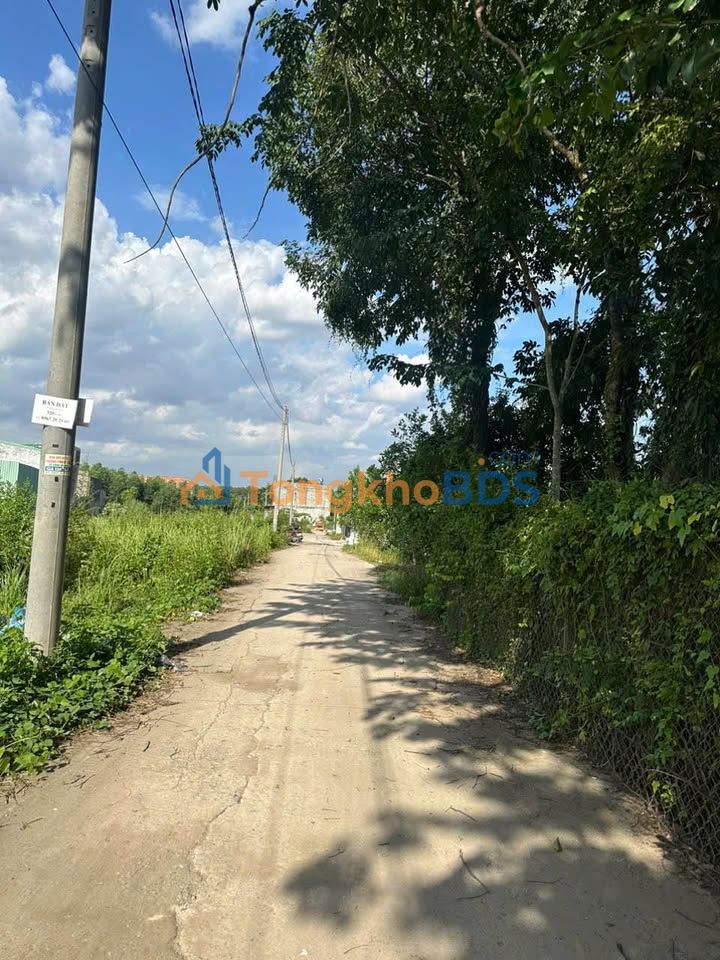Đất Phước Tân Biên Hòa 117m² - Sổ Hồng Thổ Cư, Giá 1.2 Tỷ