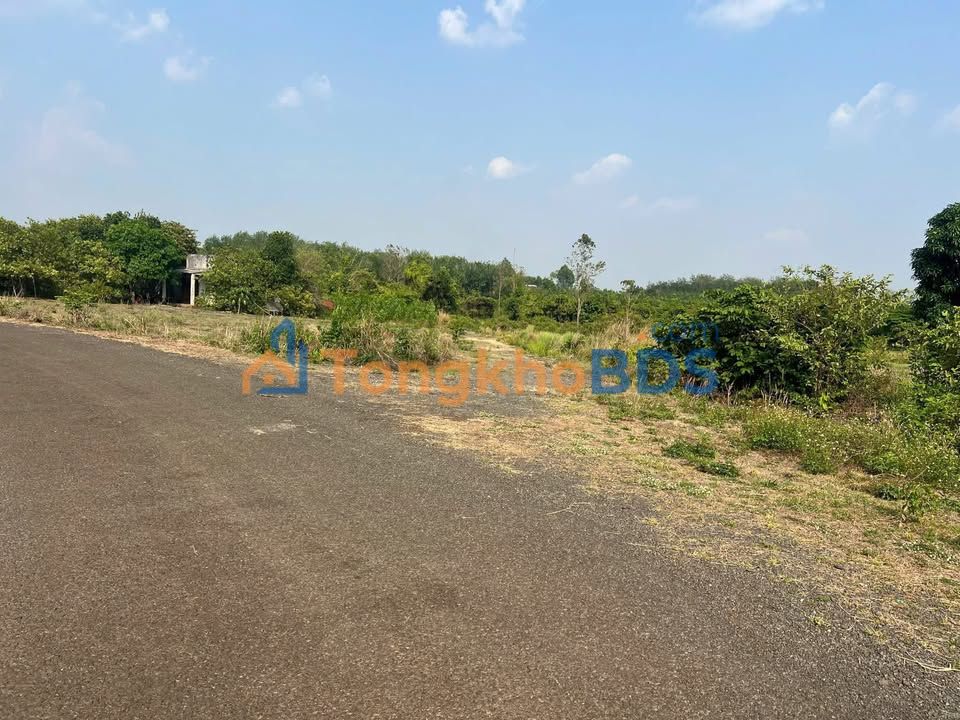 Bán Đất Nền 3600m² Mặt Tiền Nhựa Xã Thanh Hòa, Bình Phước - Giá Chỉ 190 Triệu