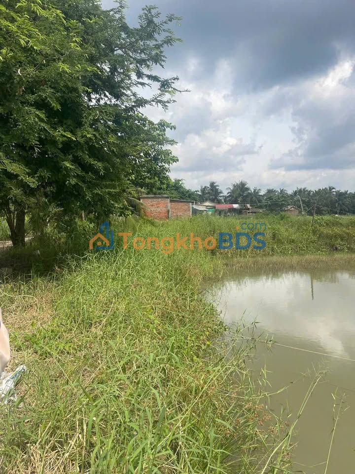 Đất Nền Bình Đại Bến Tre 3553m² - Sổ Đỏ Rõ Ràng, Sẵn Sàng Đầu Tư