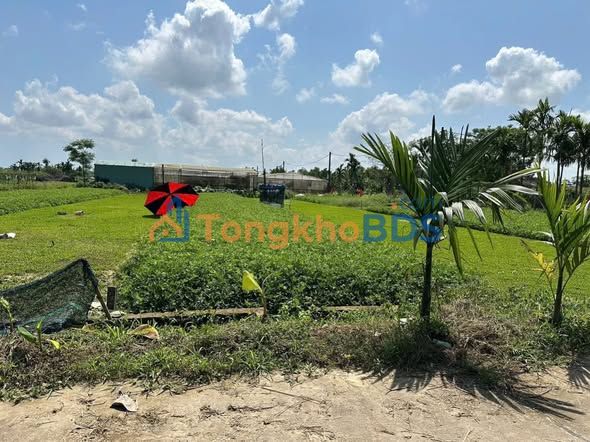 Đất Nền Túy Loan Đà Nẵng 236m² - Sổ Hồng Vuông Vắn, Giá Chỉ 2xx Triệu