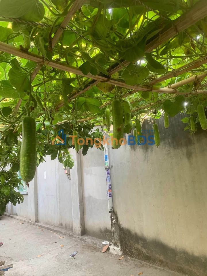 Bán Đất Mặt Tiền Đường Nhựa 300m² P.Hóa An, Biên Hòa - Giá 4.65 Tỷ