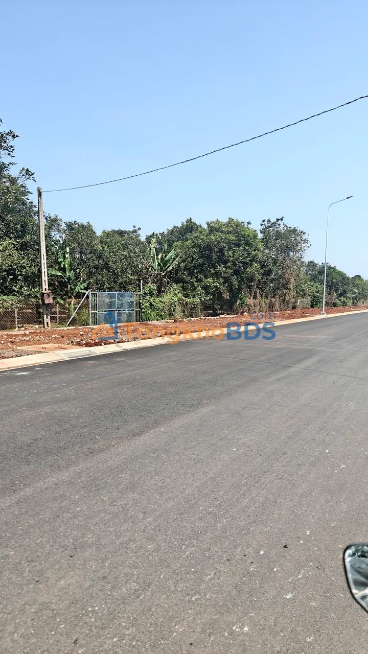 Bán Gấp Đất Nền 220m² Đường Suối Rết B, Long Khánh - Sổ Hồng Thổ Cư