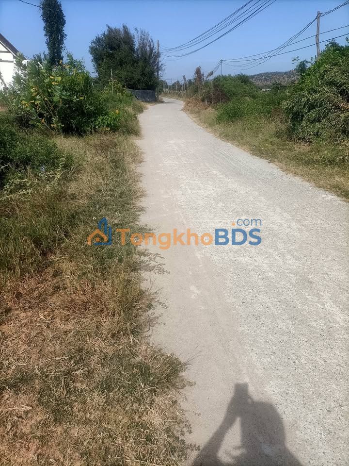 Đất nền Ninh Hải 783m² 1,0962 tỷ - Sổ đỏ chính chủ