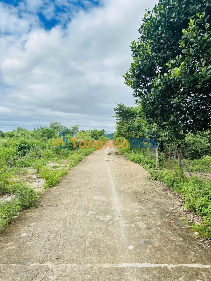 Đất Nền Diên Khánh 190m² Sổ Hồng Riêng - Giá Chỉ 3xx Triệu