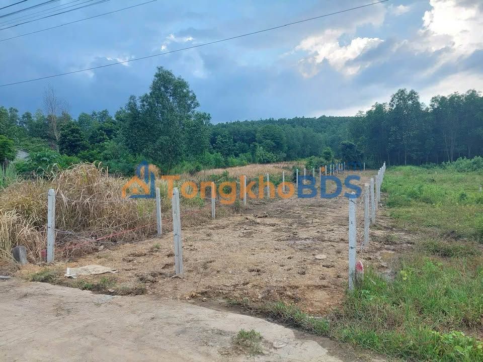 Bán Đất Diên Khánh 437m² - Đường Ô Tô Thông, Giá Chỉ 1.399 Tỷ