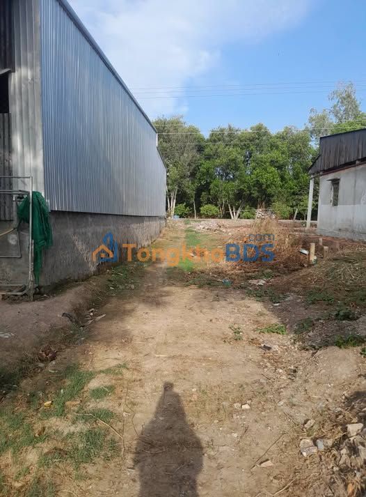 Bán Đất Nền 165m² Kèm 6 Công Lúa Thoại Sơn, An Giang - Sổ Hồng Thổ Cư