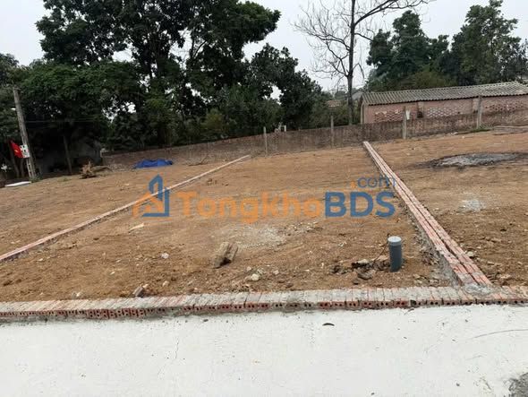 Đất Vườn Ba Vì 315m² Sổ Đỏ Chính Chủ - Đầu Tư Sinh Lời