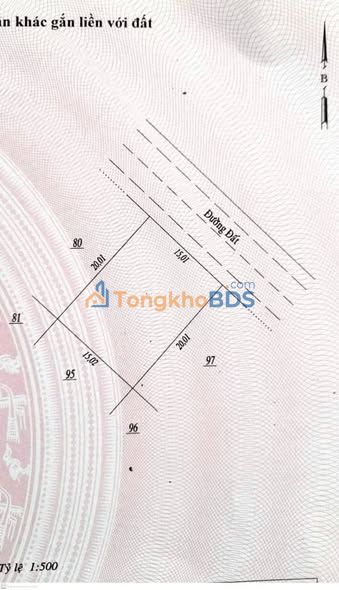 Đất Nền Bình Phước 300m² - Sổ Đỏ Full Thổ Cư, Giá 1 Tỷ