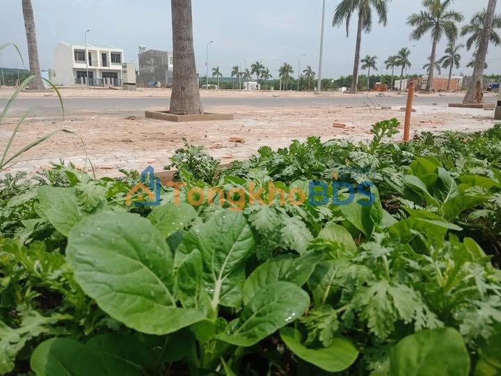 Đất Nền The Viva City - 117.5m² - 539 Triệu - Trảng Bom, Đồng Nai