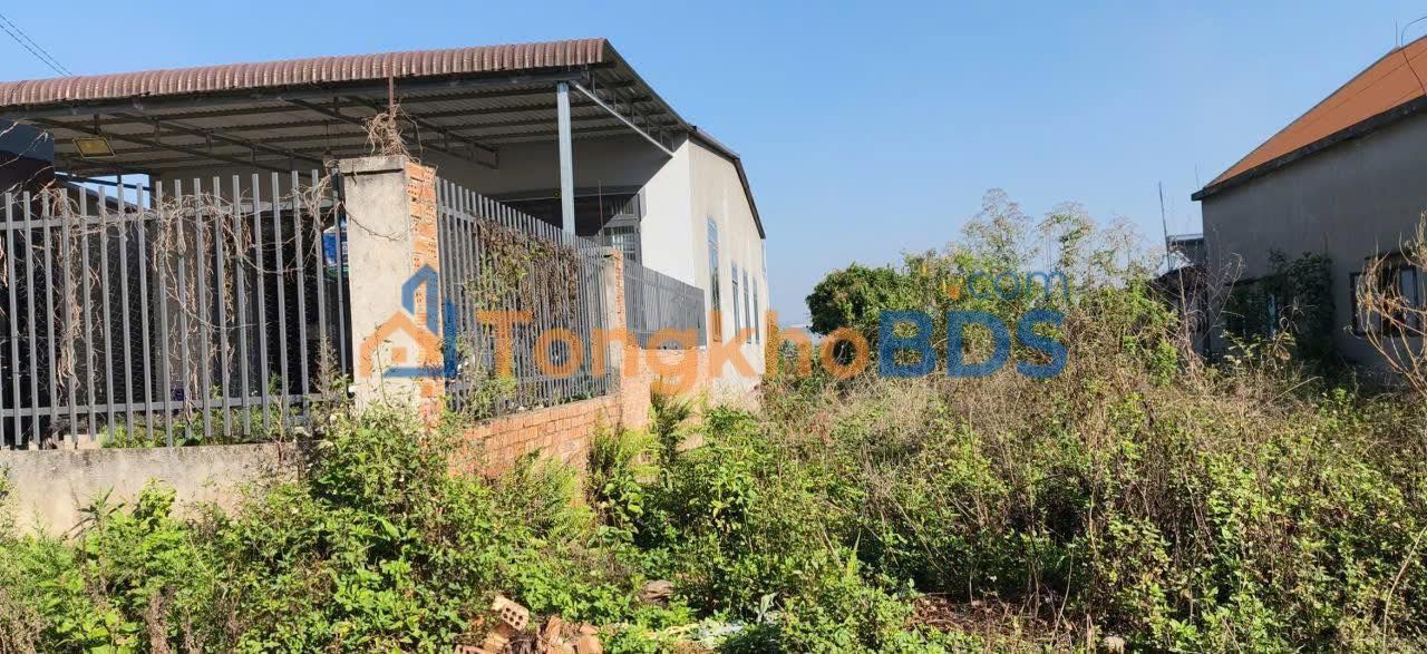 Đất Vườn 4300m² Mặt Tiền 5.5m Lâm Hà, Lâm Đồng - Giá Tốt 990 Triệu