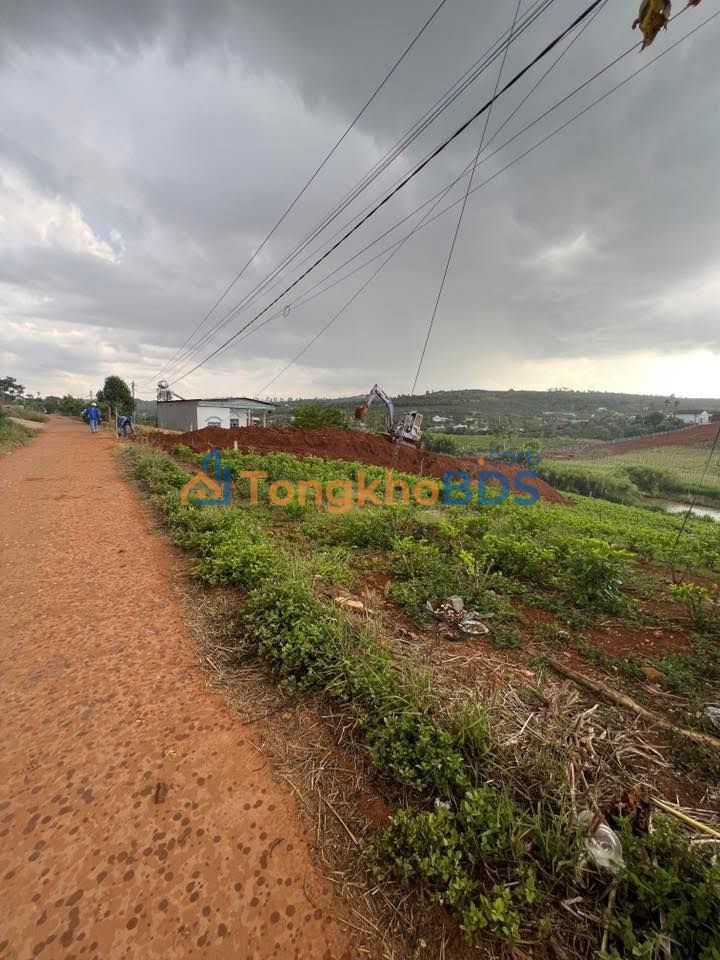 Đất nền Sổ hồng 895m² - Mặt tiền bê tông 10m, Thường Tín - Giá 950 triệu