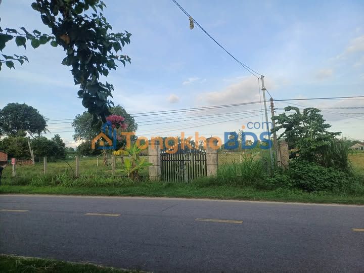 Đất Mặt Tiền 168.5m² Bình Định - Giá 490 Triệu, Gần TT Xã, Kinh Doanh Tốt