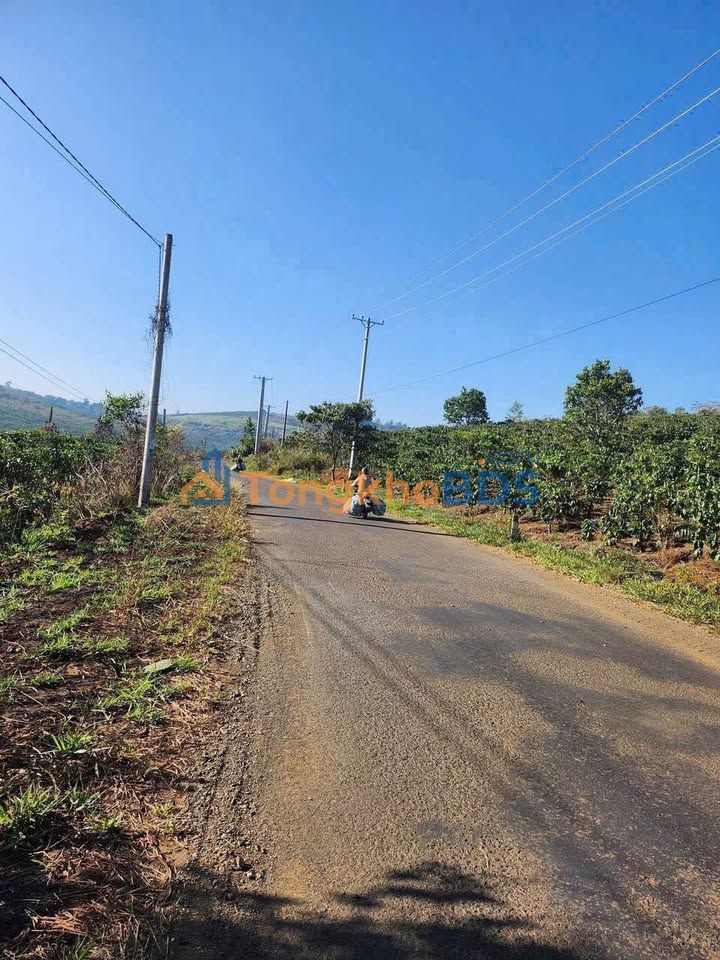 Đất Mặt Tiền Đường Nhựa ĐS 21, Bảo Lâm - 850 Triệu