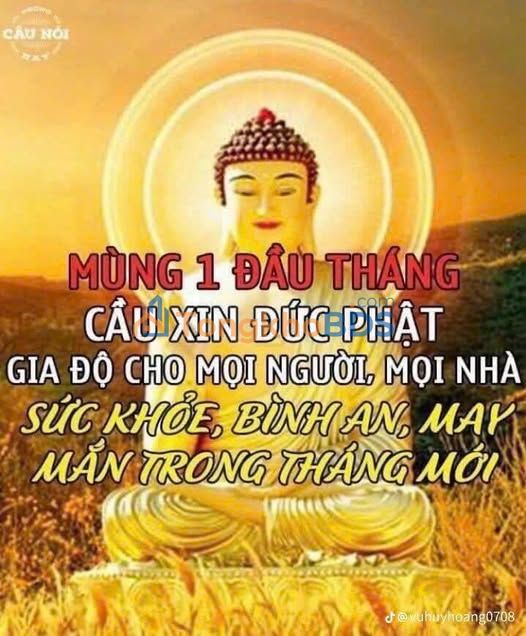 Nhà Mặt Tiền Trần Cao Vân, An Nhơn - Kinh Doanh Sầm Uất - 36m² - 4.65 Tỷ