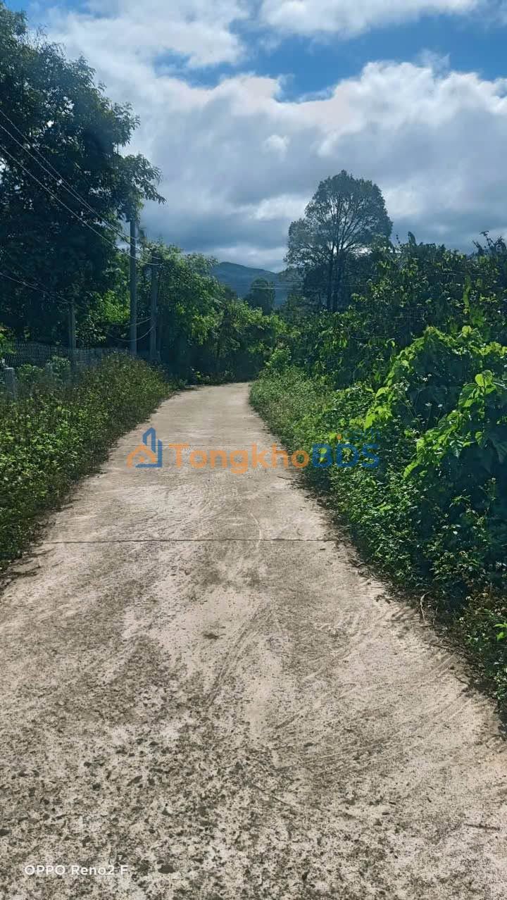 Bán Gấp Farm Cà Phê 6 Sào Kinh Doanh Tại Chư Păh, Gia Lai - Giá 1.4 Tỷ