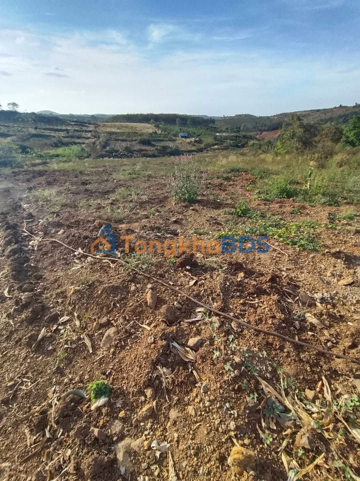 Bán Gấp Đất Vườn Đắk Nông 50.000m² - Sổ Đỏ Rõ Ràng