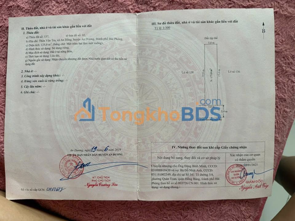 Đất nền An Dương, Hải Phòng 125m² - Sổ đỏ lâu dài, hướng Đông mát mẻ