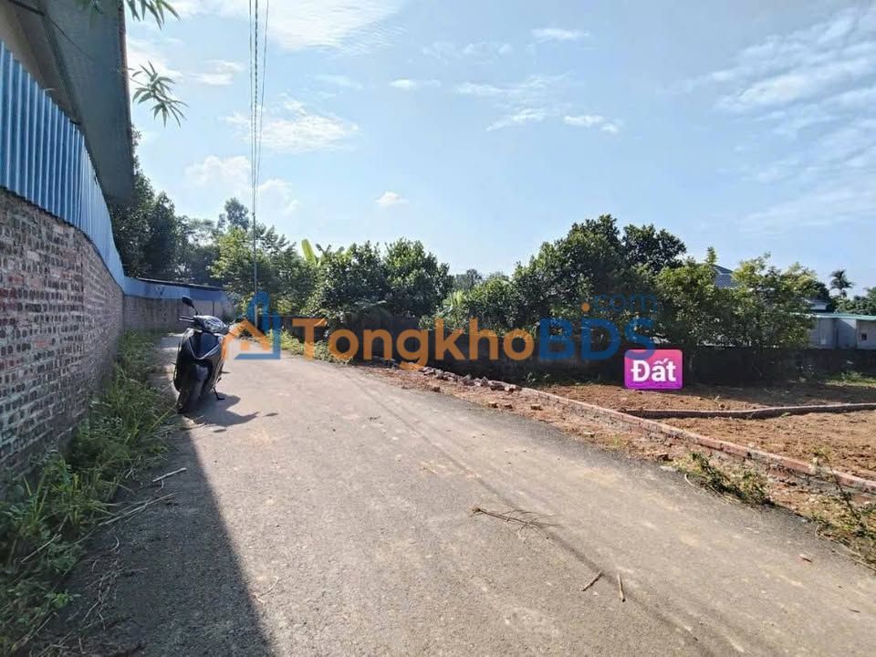 Bán đất Tam Dương 116m² - Sổ đỏ thổ cư, gần KCN, giá 8xx triệu