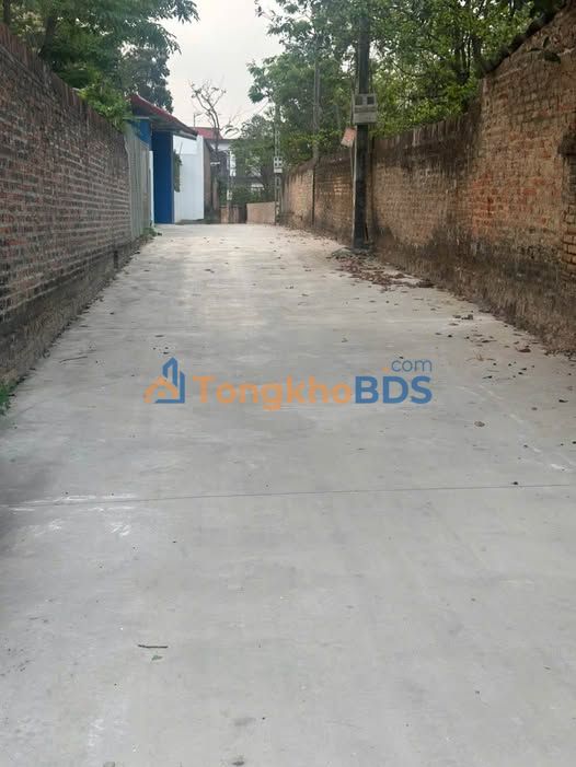 Đất nền Cẩm Trang - Mai Trung, Hiệp Hòa: 143.6m² - Hơn 900 triệu - Kinh doanh tốt