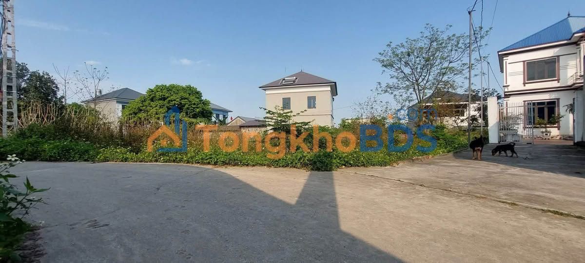 Bán Đất Nở Hậu 293m² Phúc Hòa, Tân Yên - 1.5 Tỷ, Hướng Nam