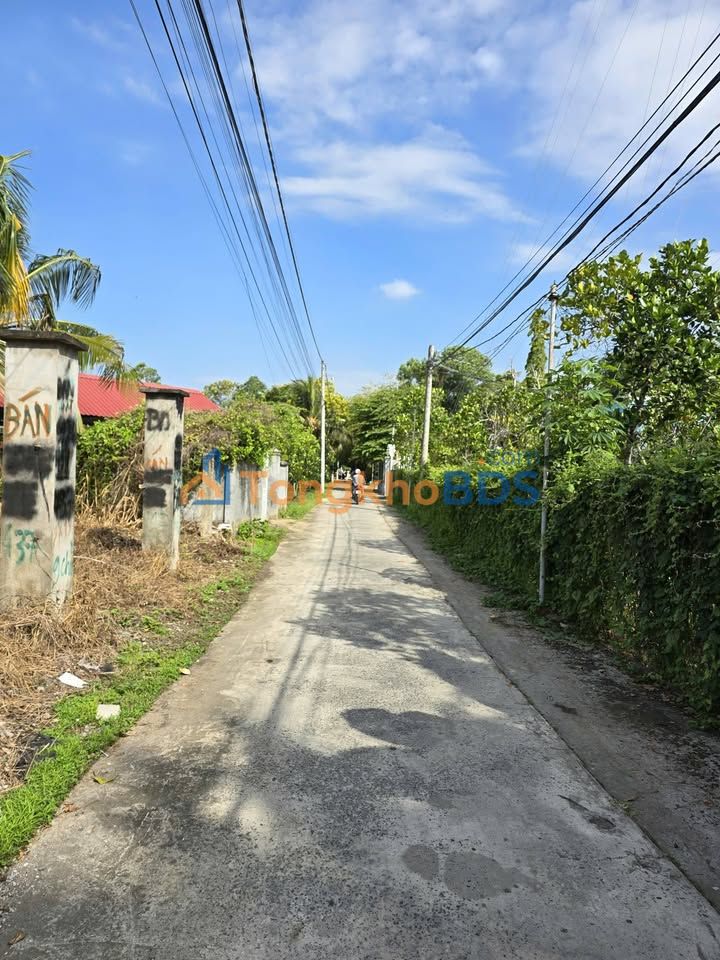 Đất nền 118.5m² Hậu Giang - Cách Nguyễn Chí Thanh 30m, Giá 990 Triệu