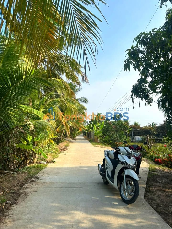 Bán Đất Vườn Trà Vinh 2400m² - Sổ Hồng Sẵn Sàng - Giá Đầu Tư 3.5 Tỷ